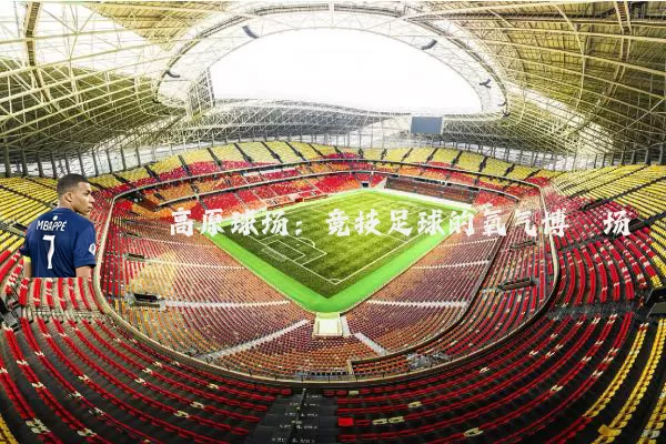 高原球场:竞技足球的氧气博弈场